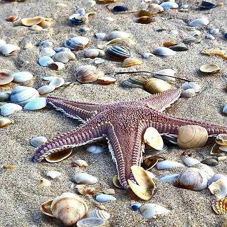 Casa Da Torre - A Gema Escondida Da Σπίτι διακοπών