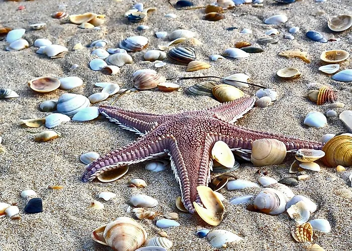 Casa Da Torre - A Gema Escondida De Дом отдыха