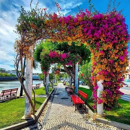 Casa Da Torre - A Gema Escondida Da 別荘